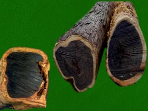 Ebony Tree Health Benefits for Skin Care