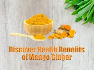 Mango Ginger Benefits and Medicinal use