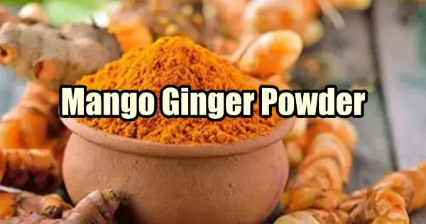 Mango Ginger Benefits of Powder