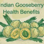 Indian Gooseberry - Health Benefits