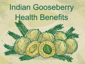 Indian Gooseberry Health Benefits