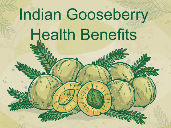 Indian Gooseberry - Health Benefits