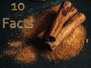 10 fact based health benefits of cinnamon