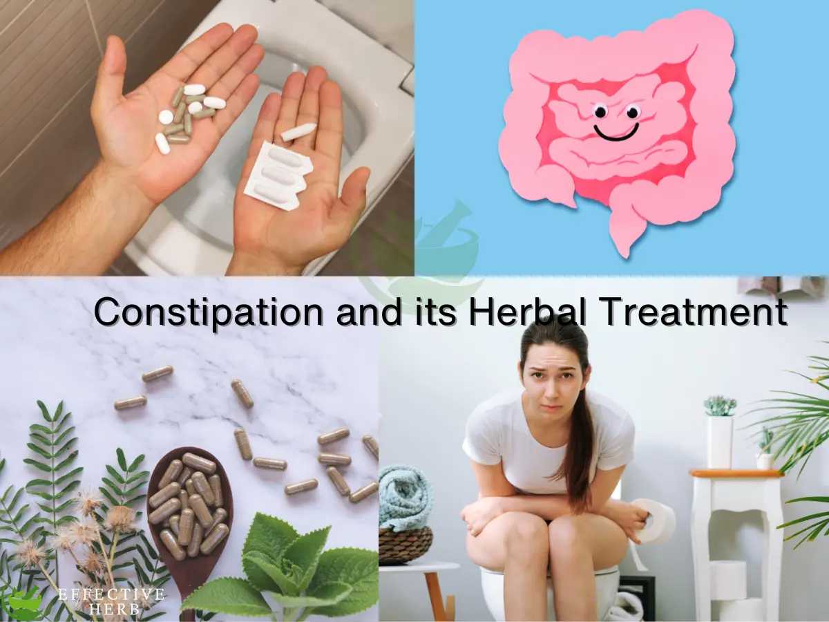 Constipation and its Herbal Treatment
