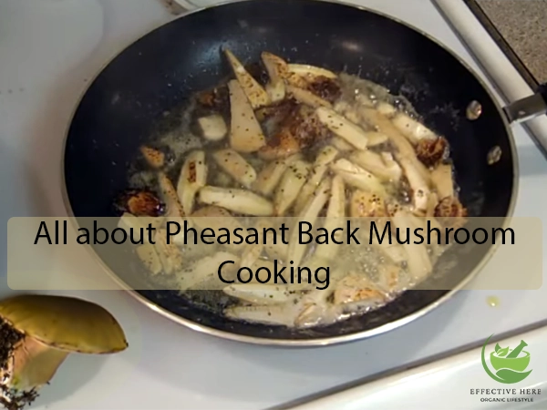 How to cook Pheasant Back Mushroom