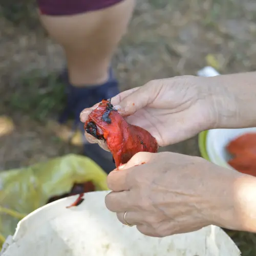 Peeling red bell peper