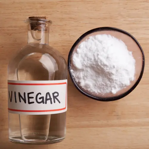 Vinegar and Salt