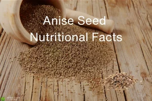 Anise Seed Nutrition Facts