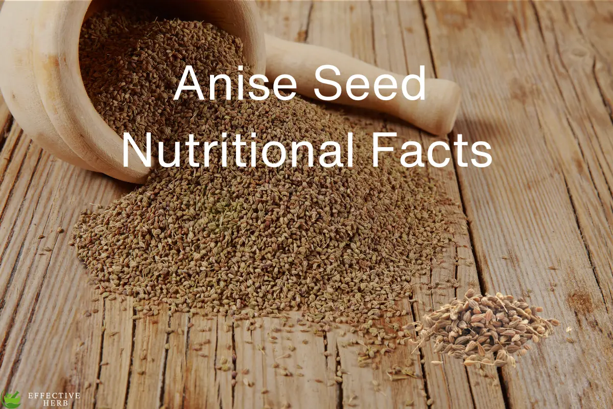 Anise Seed Nutritional Facts