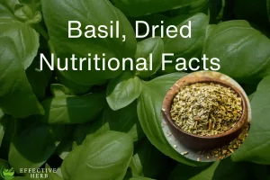 Basil, Dried Nutrition Facts