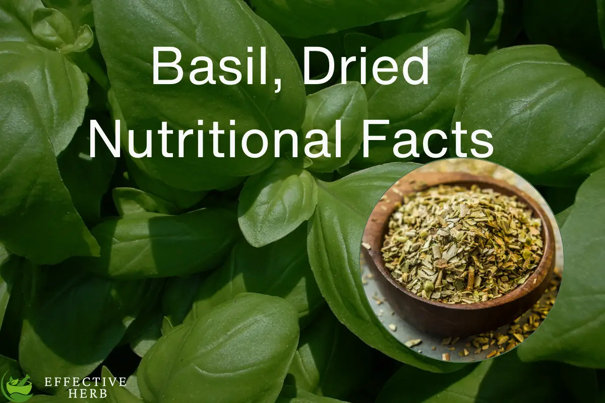 Basil Dried Nutritional Facts