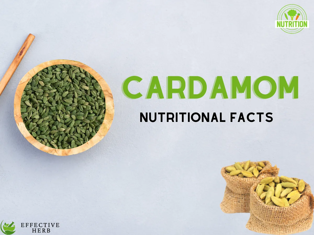 Cardamom Nutritional Facts