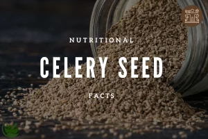 Celery Seed Nutritional Facts