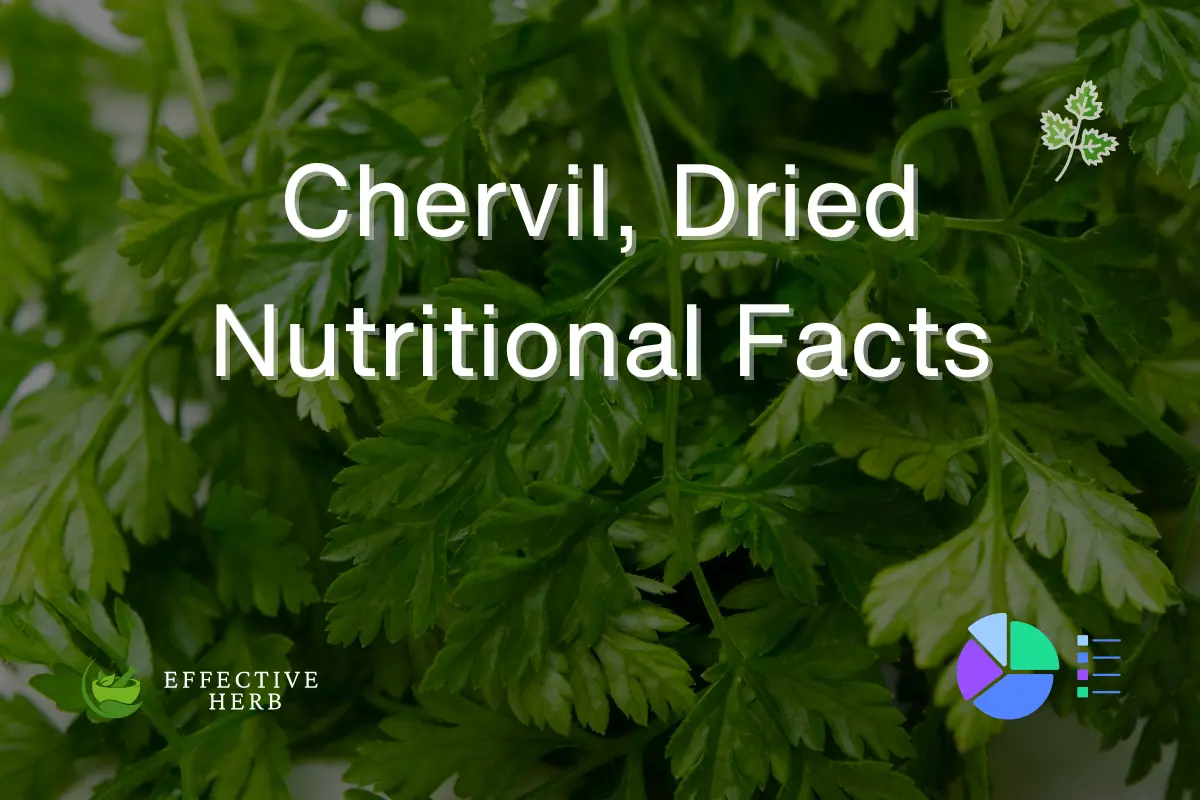 Chervil, Dried Nutritional Facts