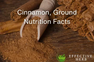 Cinnamon, Ground Nutrition Facts