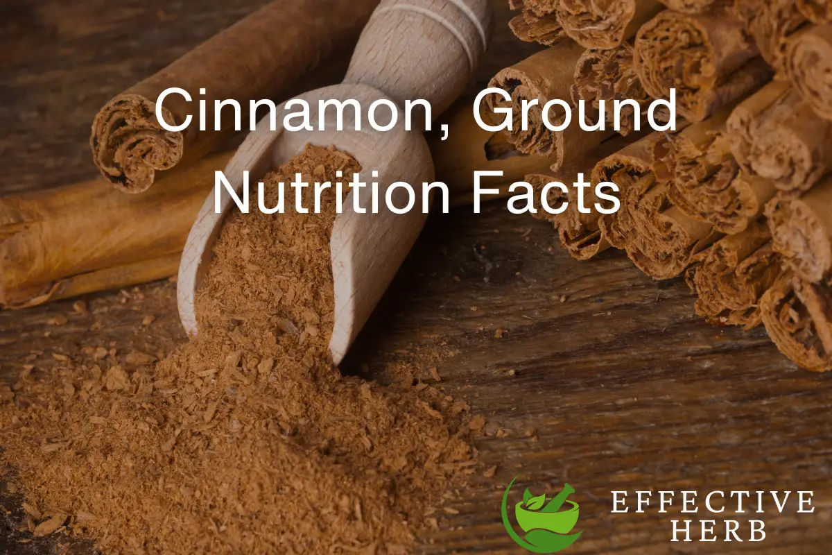 Cinnamon, powder Nutrition Facts