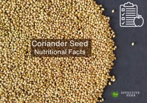 Coriander Seed Nutrition Facts