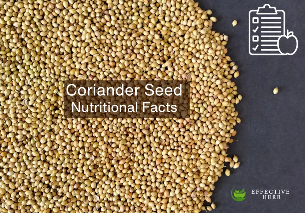 Coriander Seed Nutritional Facts