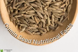 Cumin Seed Nutritional Facts