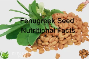 Fenugreek Seed Nutrition Facts