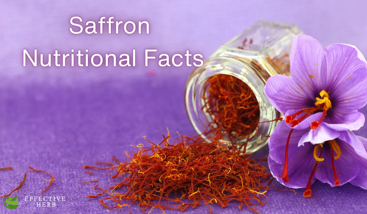 Saffron Nutritional Facts