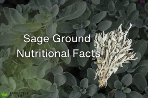 Sage, Ground Nutrition Facts