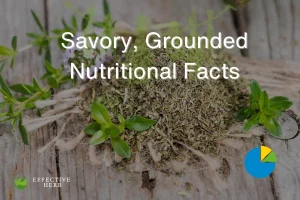 Savory, Ground Nutrition Facts