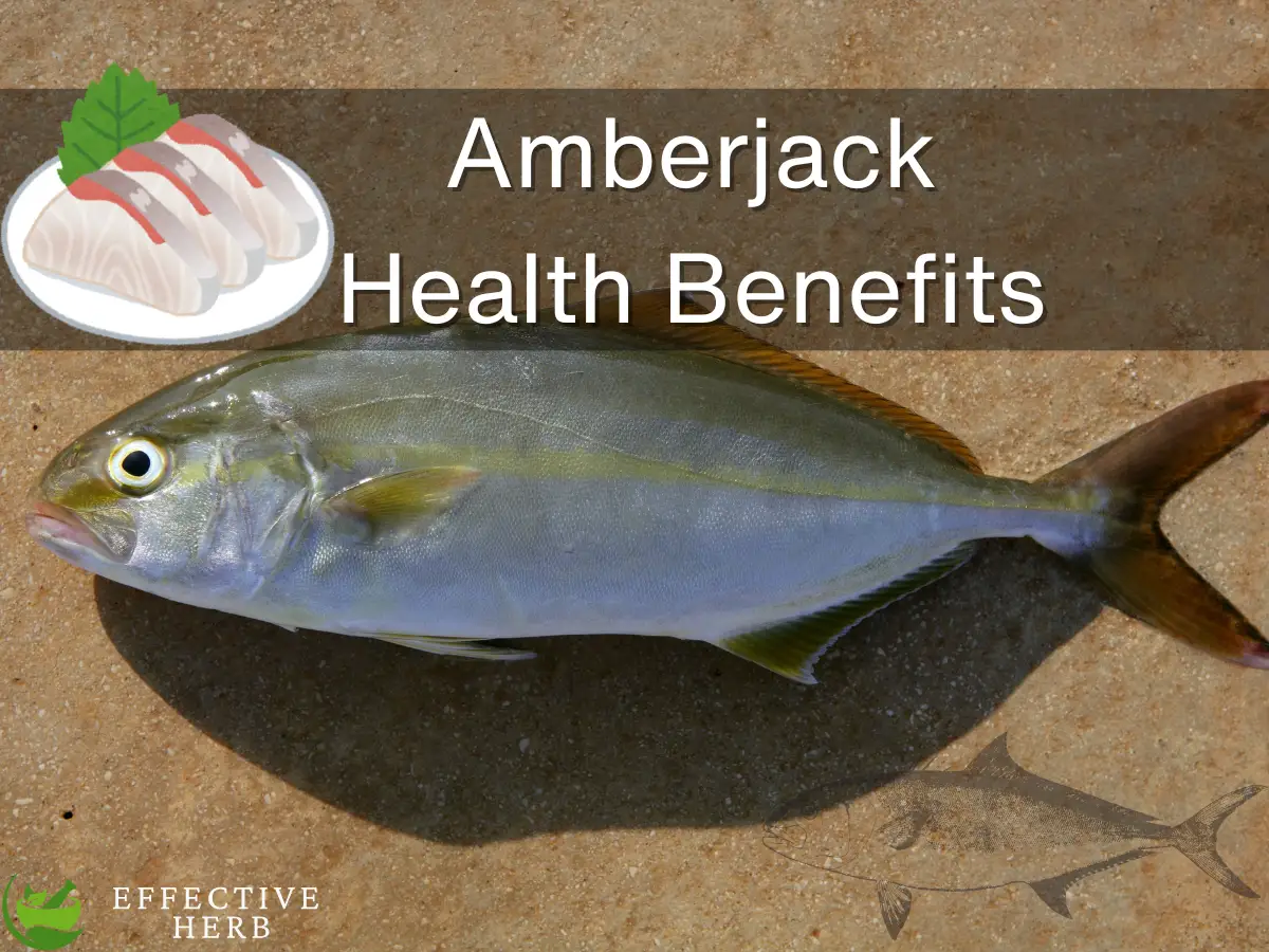 Amberjack Health Benefits