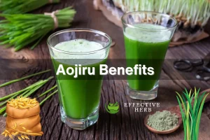 Aojiru Health Benefits