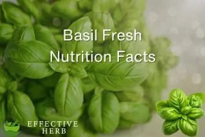 Basil Fresh Nutrition Facts