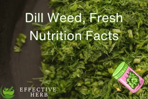 Dill Weed, Fresh Nutrition Facts