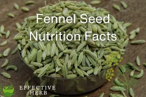 Fennel Seed Nutrition Facts