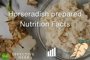 Horseradish prepared Nutrition Facts