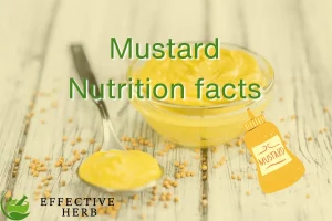 Mustard, prepared, yellow Nutrition facts