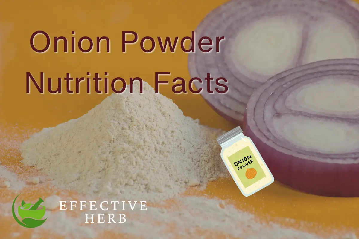 Onion Powder Nutrition Facts