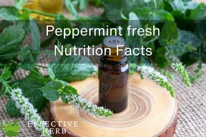 Peppermint, fresh Nutrition facts