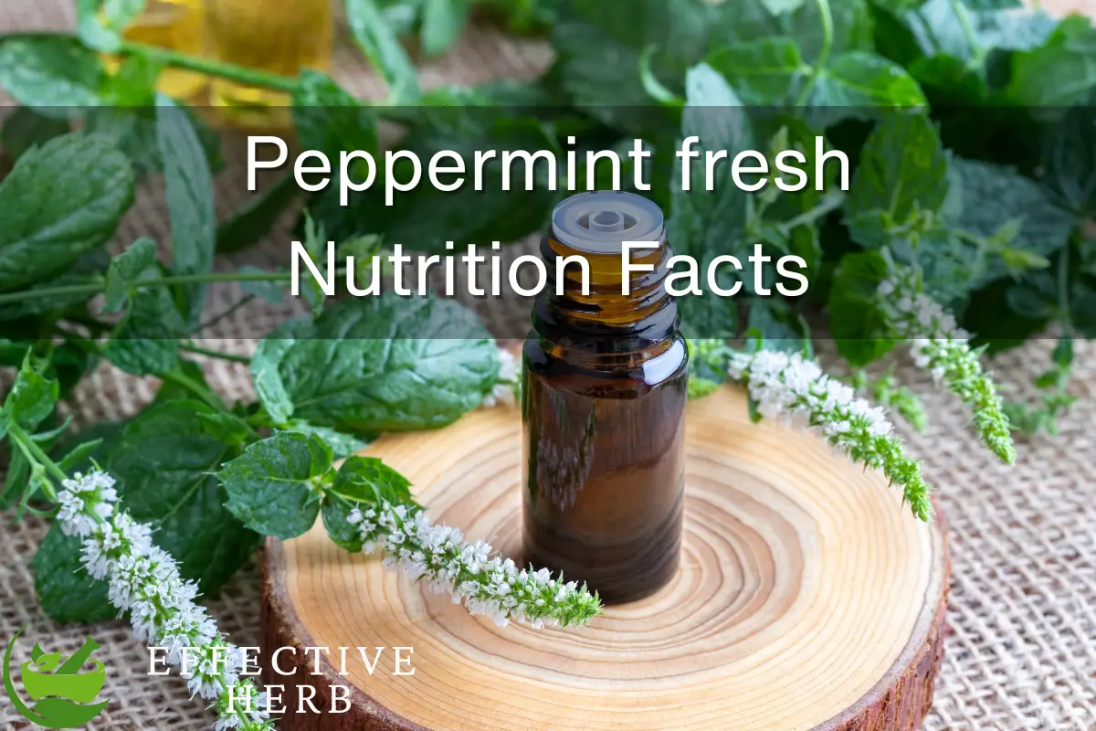 Peppermint fresh Nutrition Facts