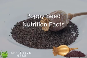 Poppy Seed Nutrition Facts