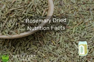 Rosemary, Dried Nutrition Facts
