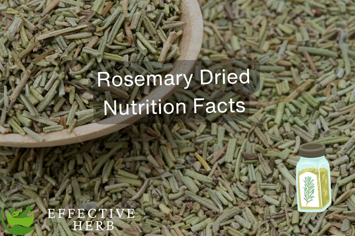 Rosemary Dried Nutrition Facts