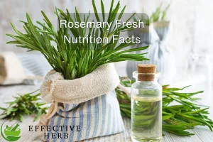 Rosemary Fresh Nutrition Facts