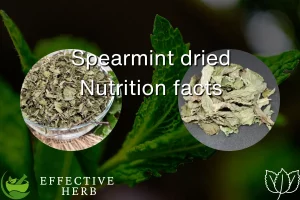 Spearmint dried Nutrition facts