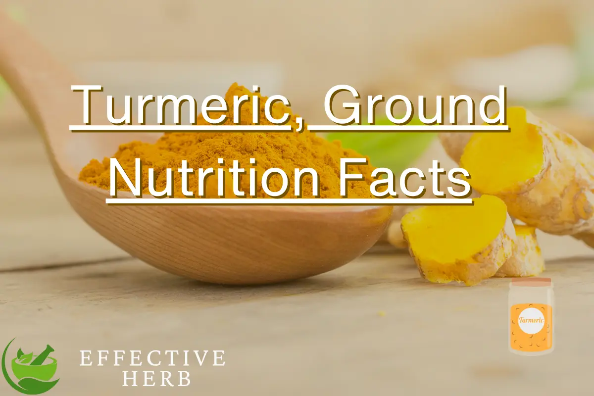 Turmeric Ground Nutrition Facts