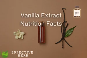 Vanilla Extract, Imitation, No Alcohol Nutrition Facts