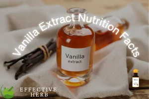 Vanilla Extract Nutrition Facts