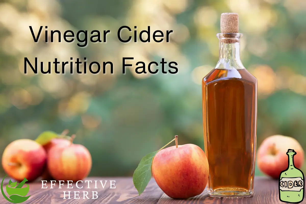 Vinegar Cider Nutrition Facts