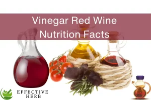 Vinegar, Red Wine Nutrition Facts