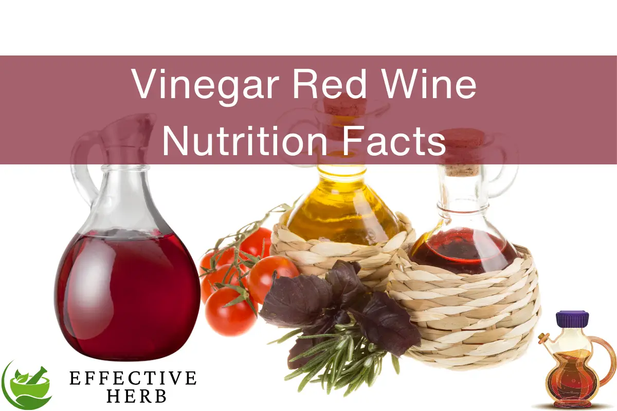 Vinegar Red Wine Nutrition Facts